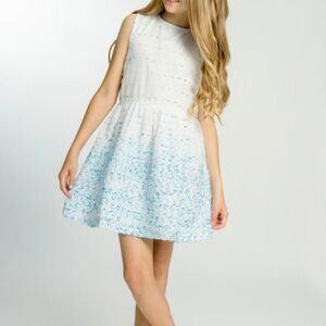 Florence Fancy Clarissa Blue & White Dress Dress size 12